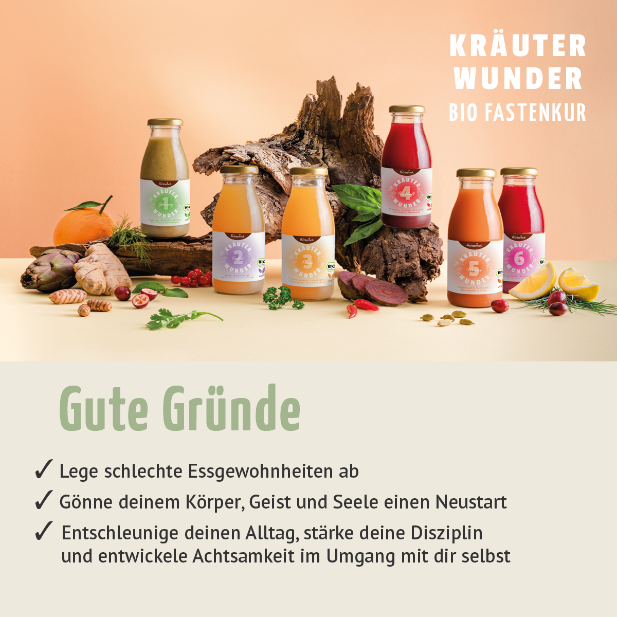 Kräuterwunder Bio Fastenkur 3 Tage (18 Flaschen)