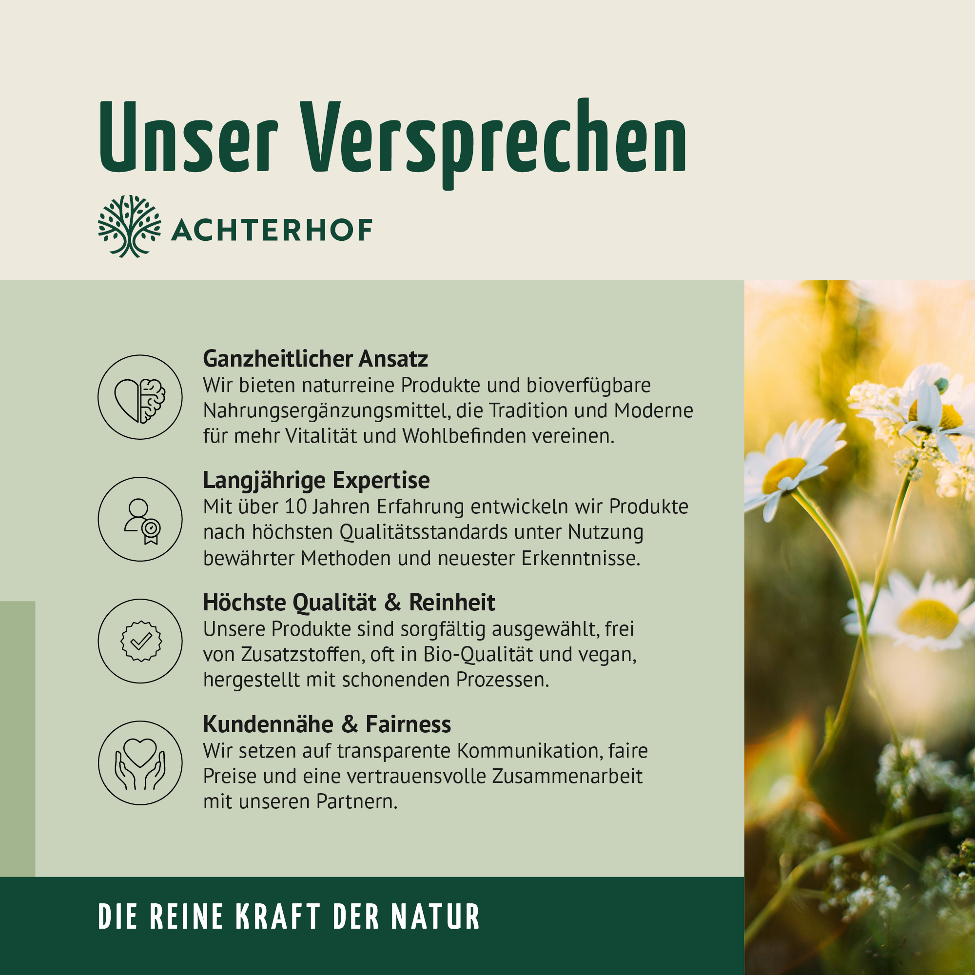 Matcha Kollagen Pulver (100g)