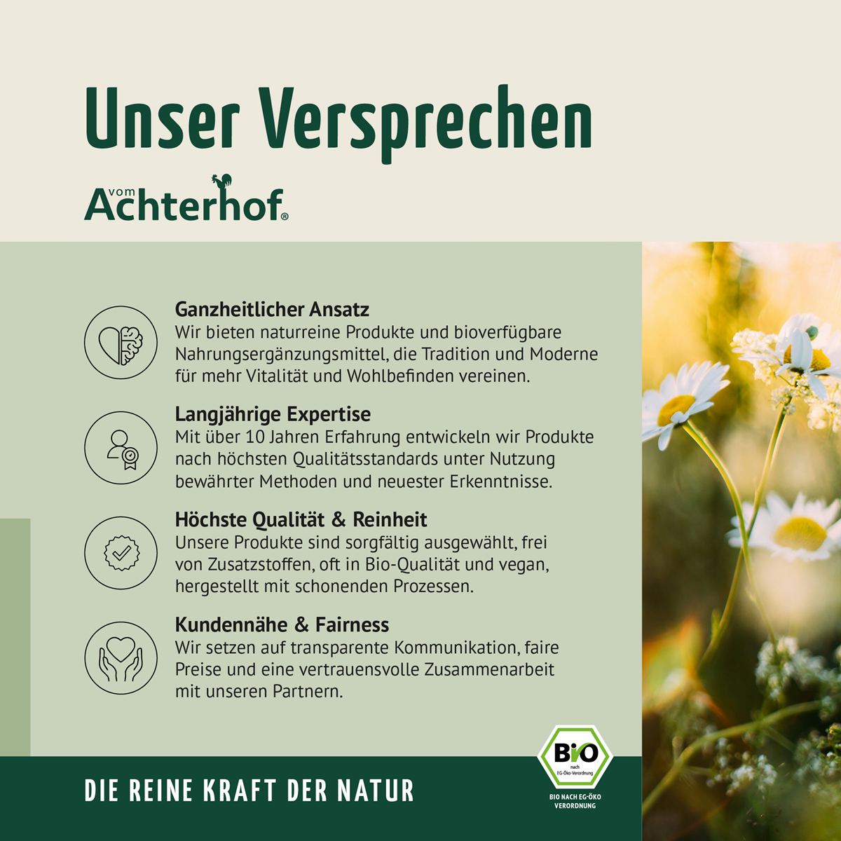 Bio Matcha Grüntee Pulver (100g)