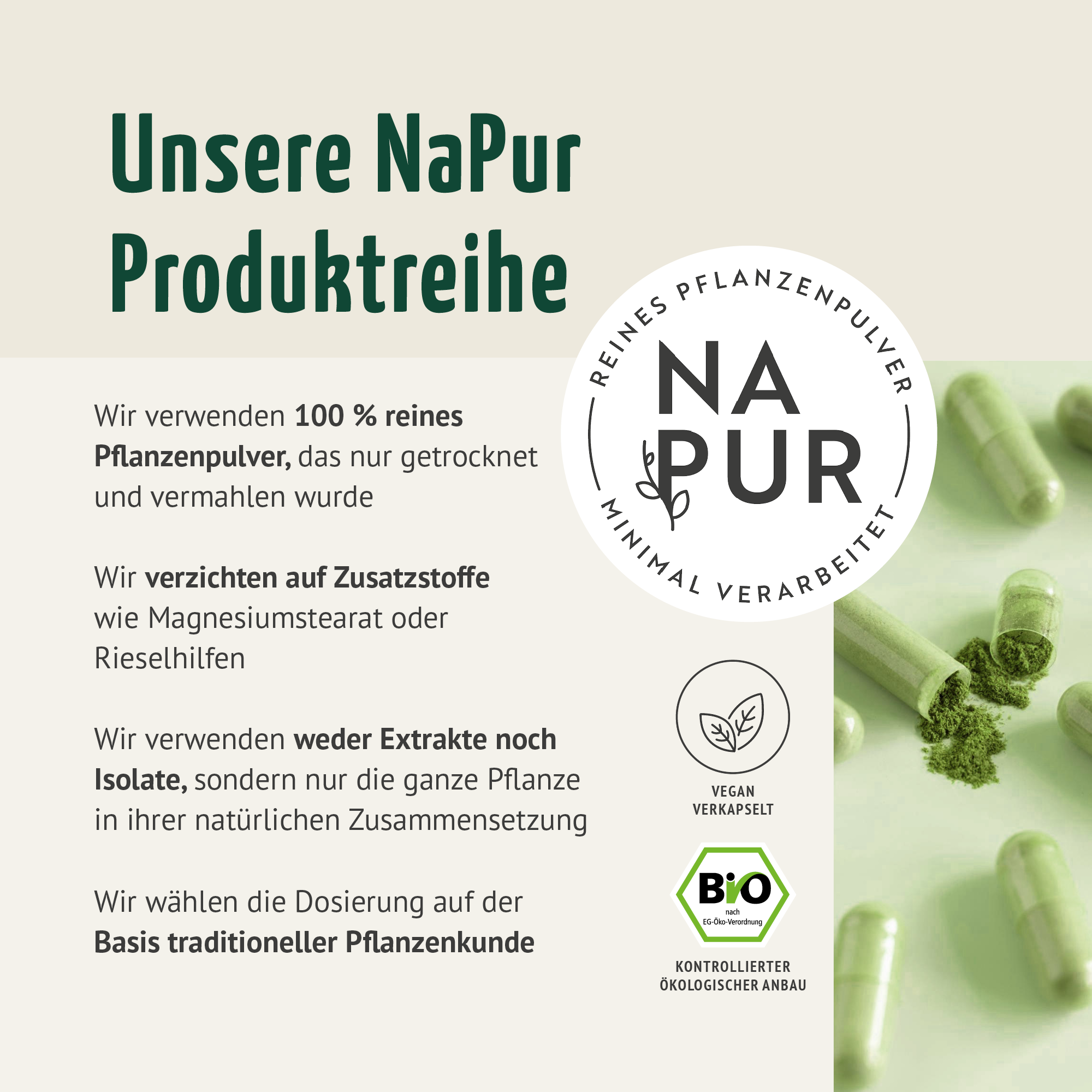 Moringa Kapseln Bio (150 Kapseln)