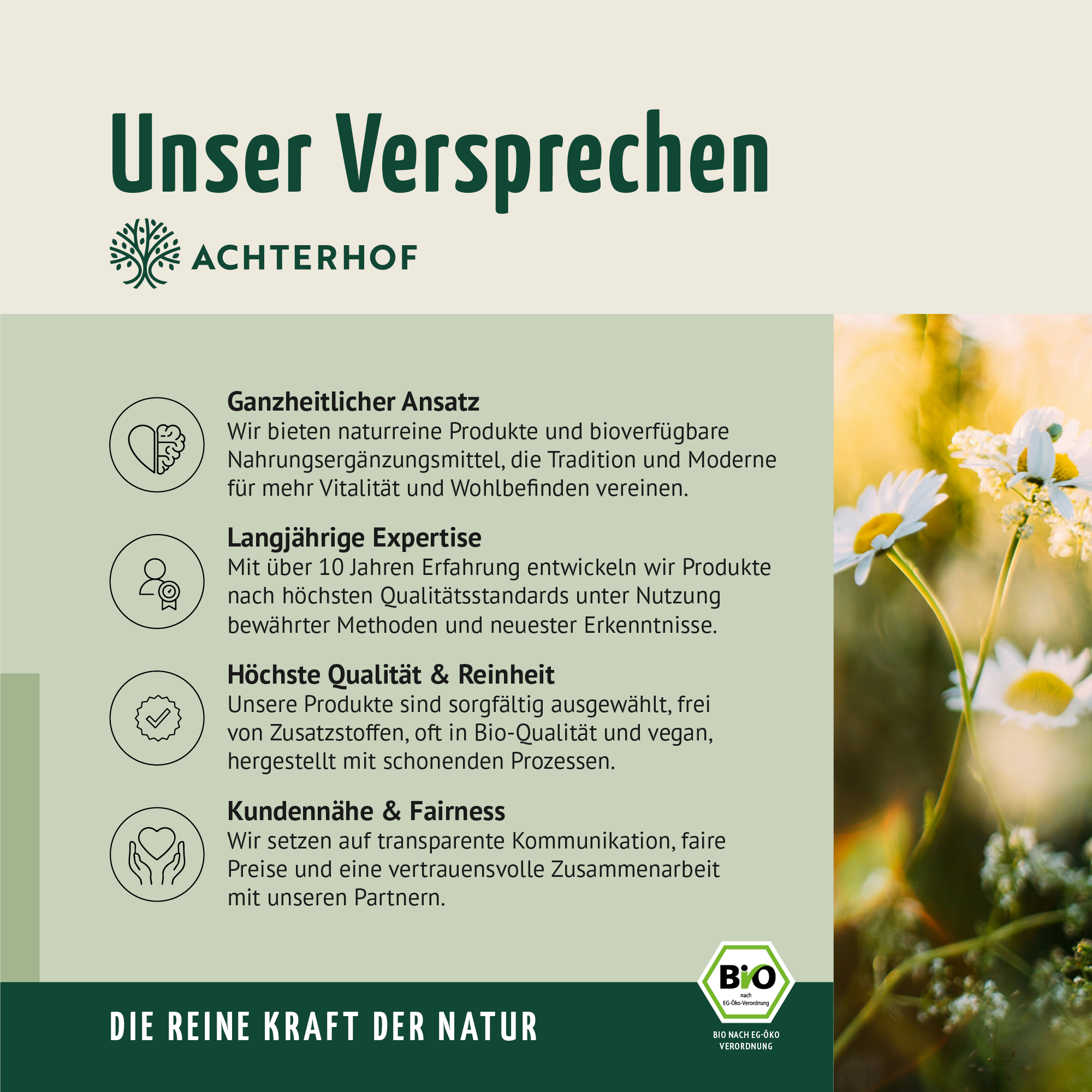Bio Nachtkerzenöl (500ml)