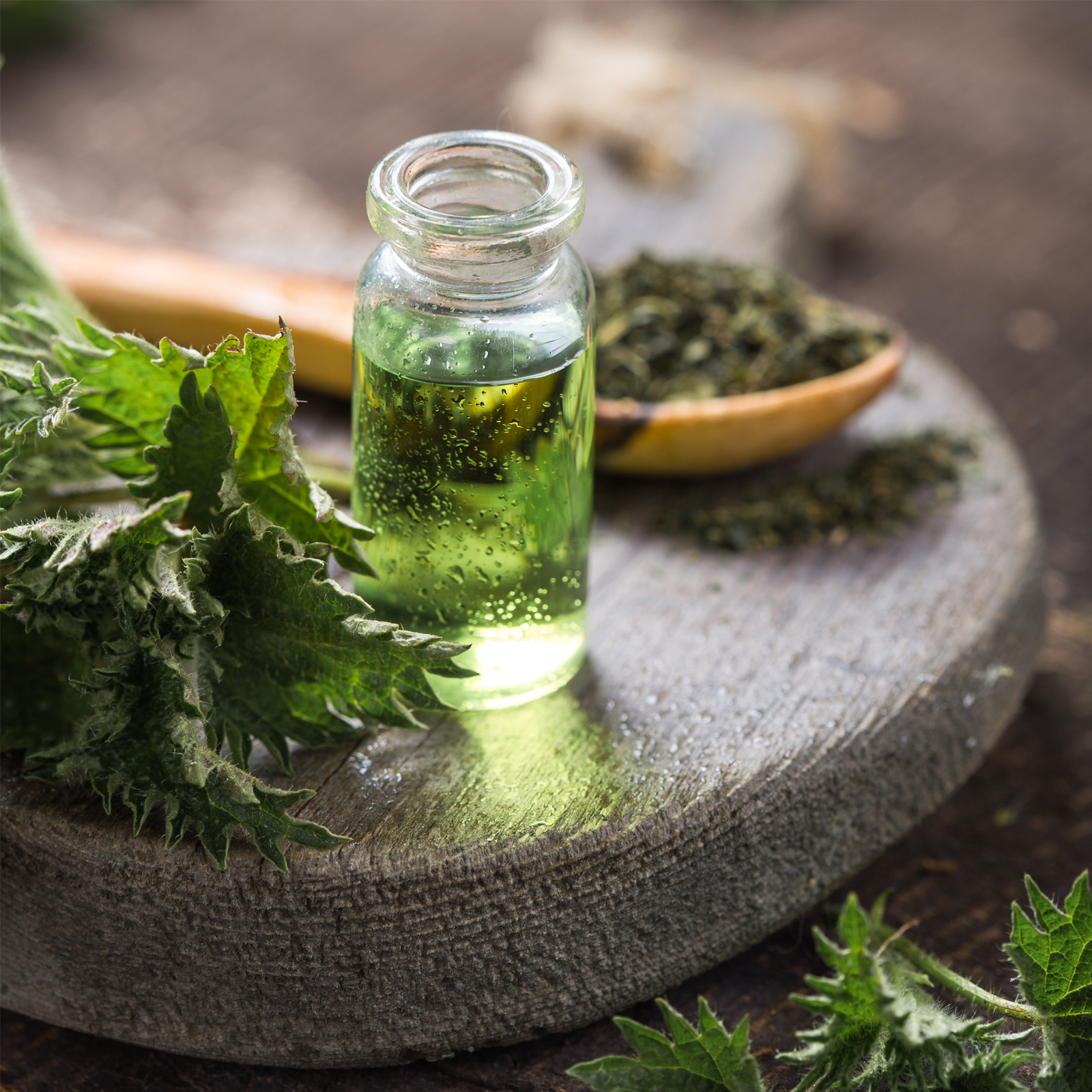 Brennnesselwurzel geschnitten Bio (500g)