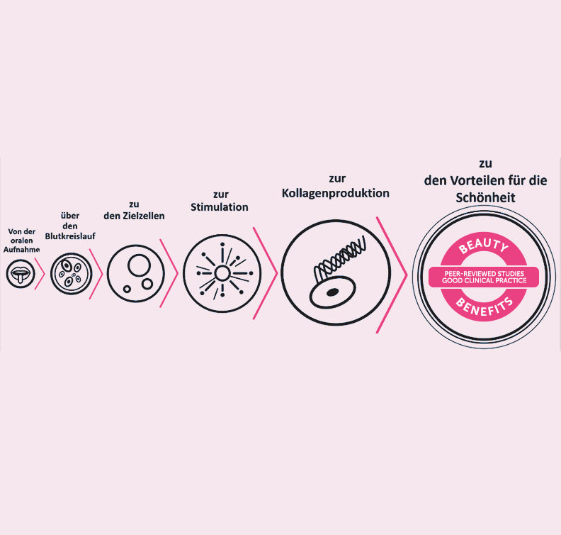 Kollagen Liquid 2-Monatspackung (2x30x25ml Trinkfläschchen)
