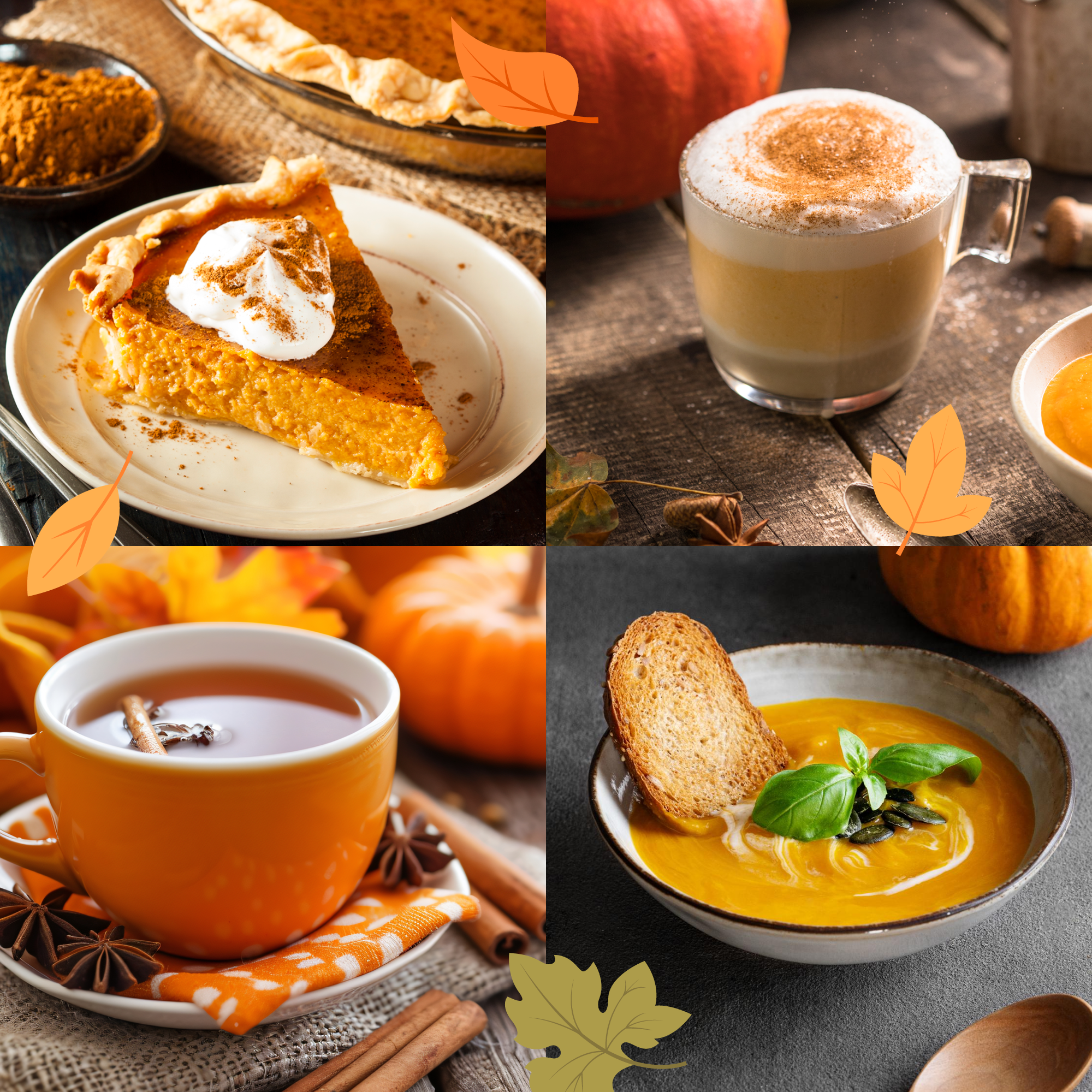 Pumpkin Spice Latte Gewürzmischung (100g)