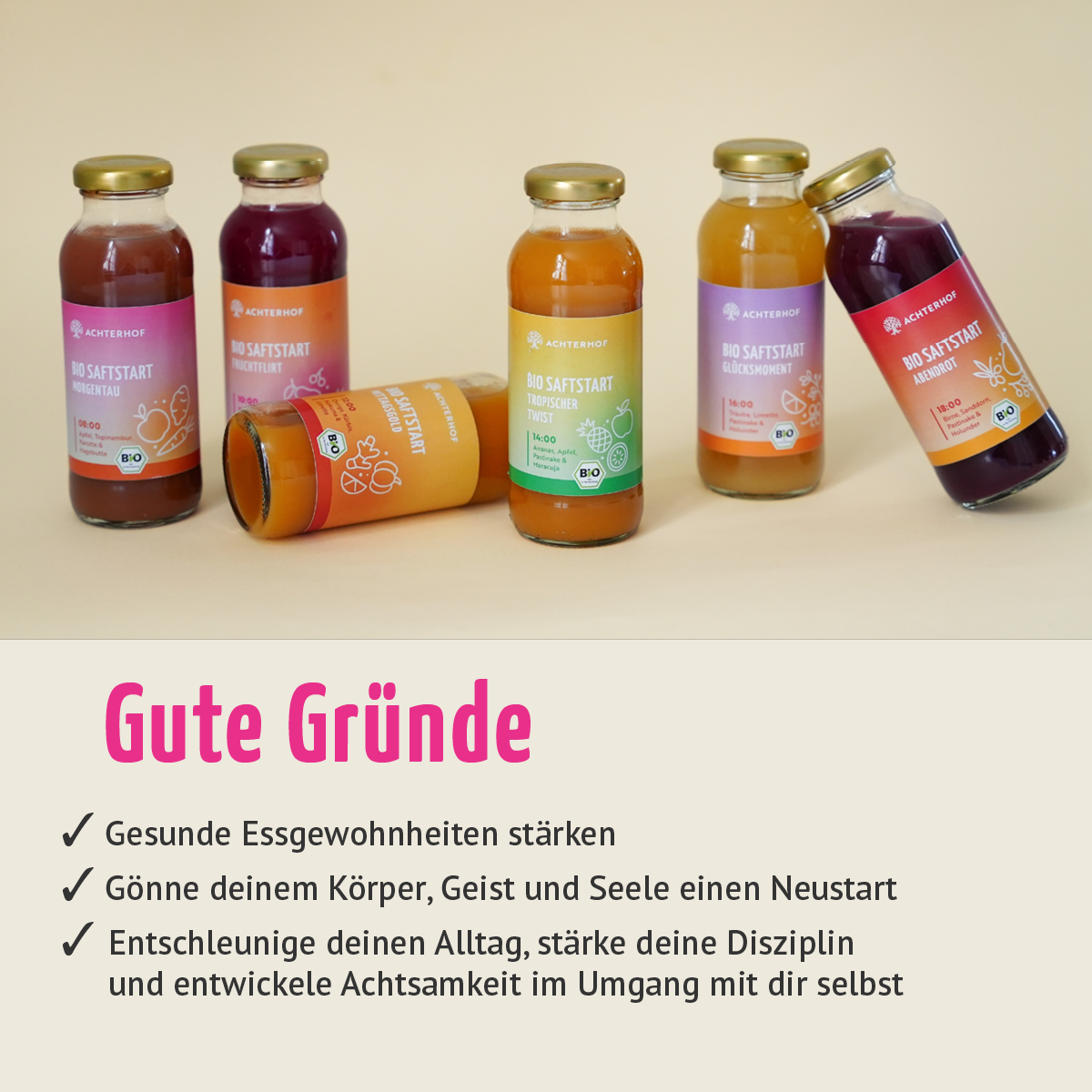 Saftstart Bio Fastenkur 1-7 Tage (6 Flaschen pro Tag)