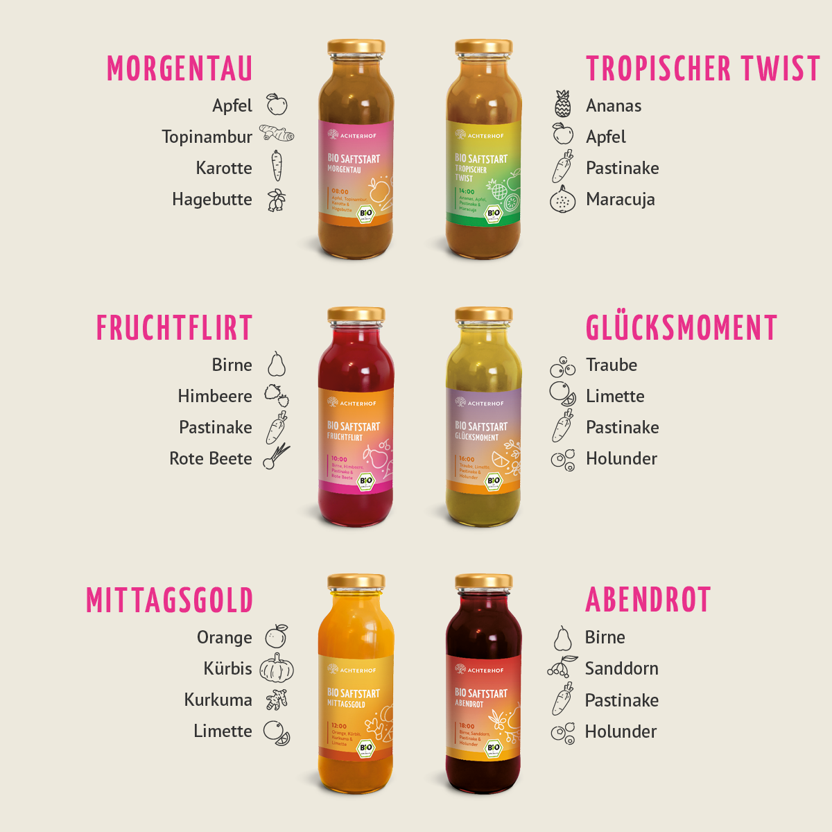 Saftstart Bio Fastenkur 1-7 Tage (6 Flaschen pro Tag)