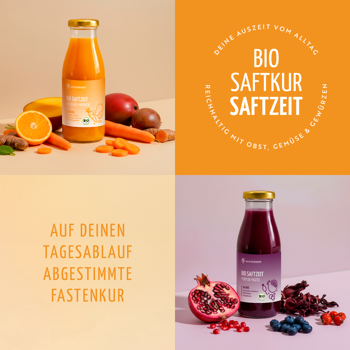 Saftzeit Bio Fastenkur 3 Tage (18 Flaschen)