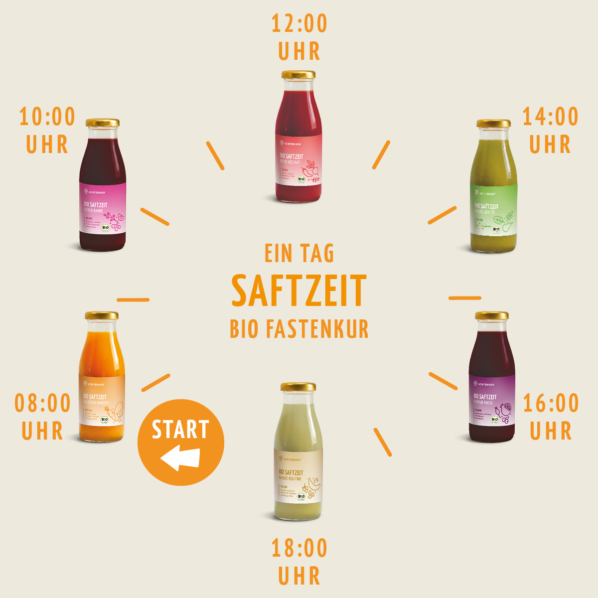 Saftzeit Bio Fastenkur 5 Tage (30 Flaschen)
