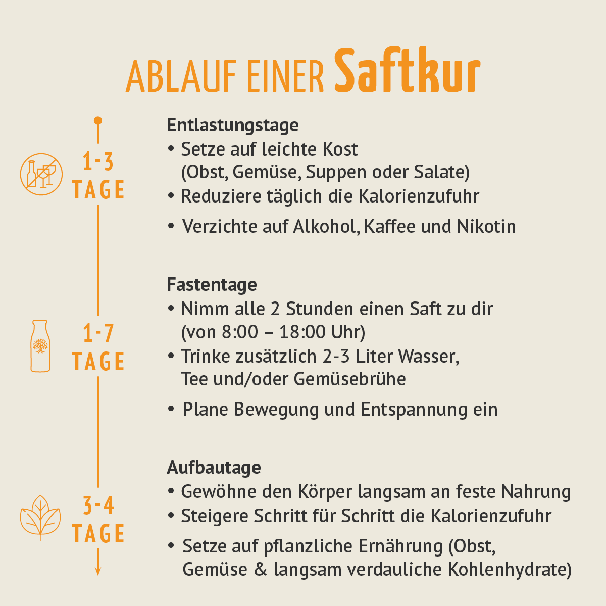 Saftzeit Bio Fastenkur 5 Tage (30 Flaschen)