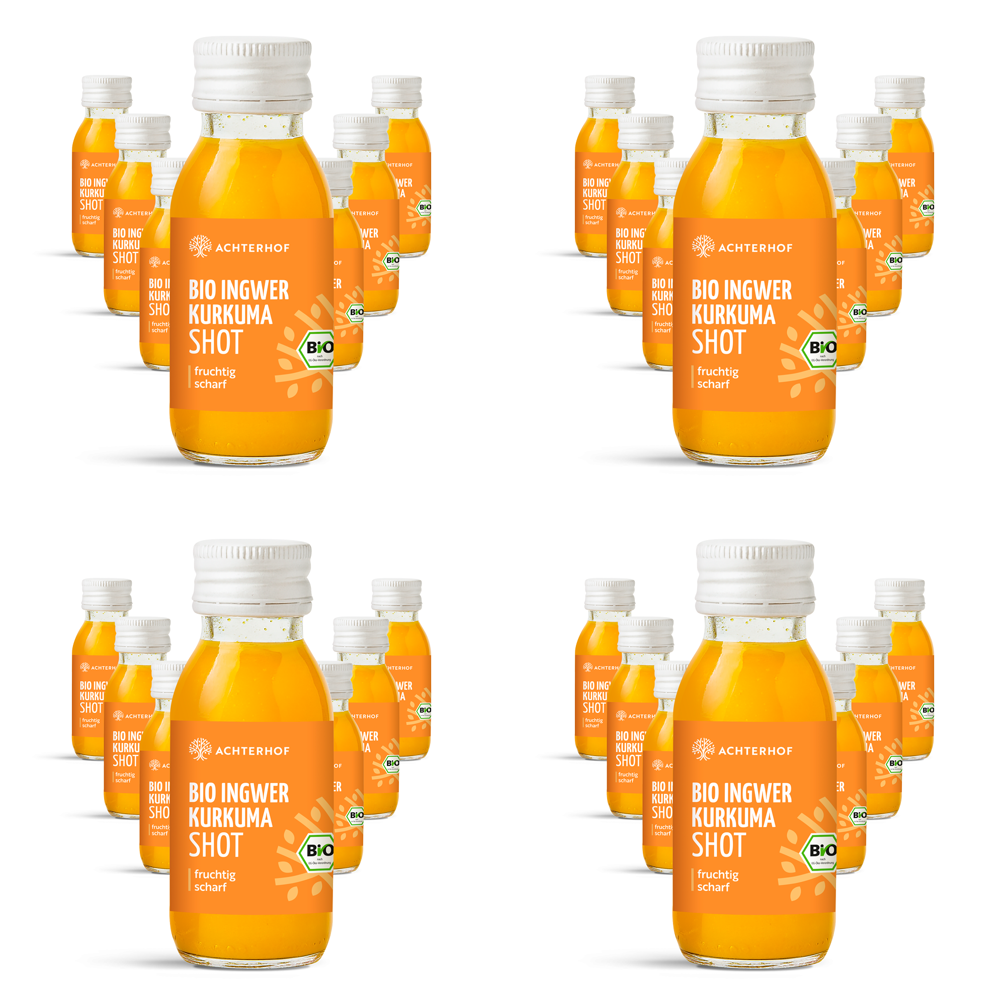 Monatskur Ingwer Kurkuma Shot Bio