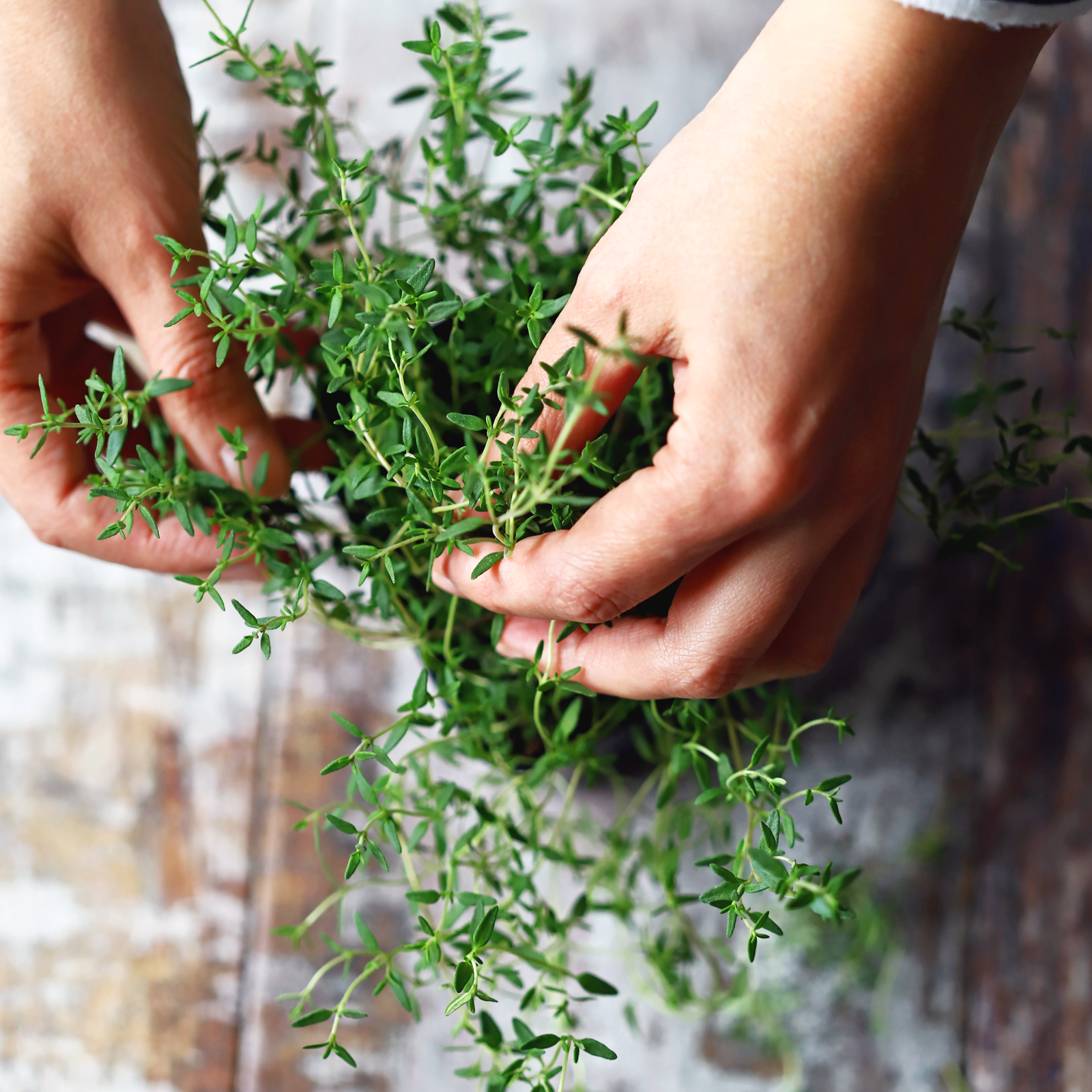 Thymian geschnitten Bio (500g)